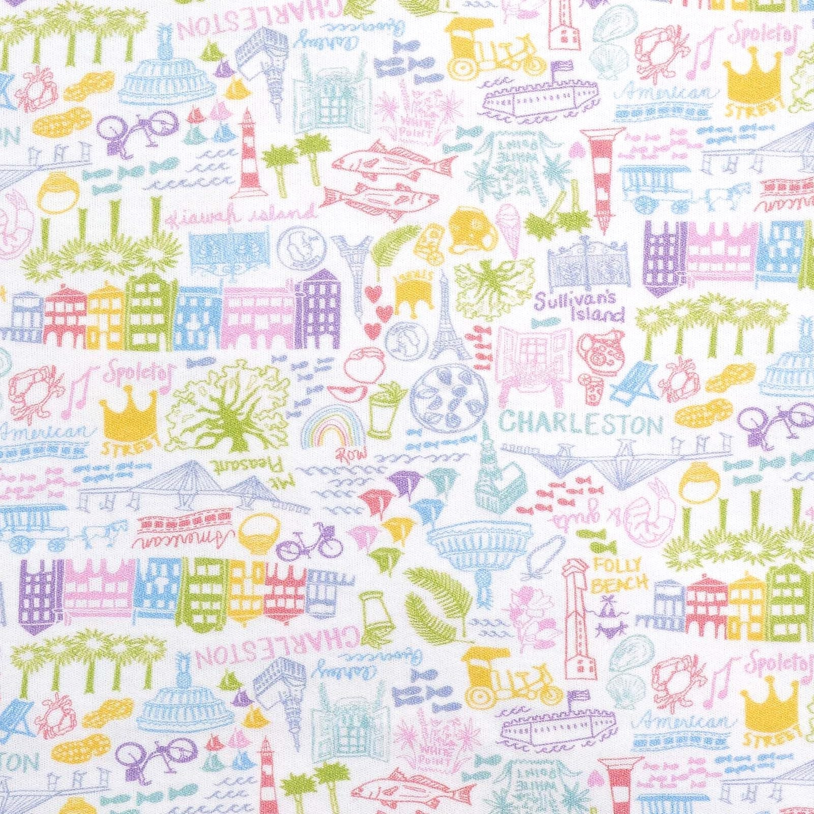 Charleston Rainbow Row Baby Blanket The Boutique Charleston