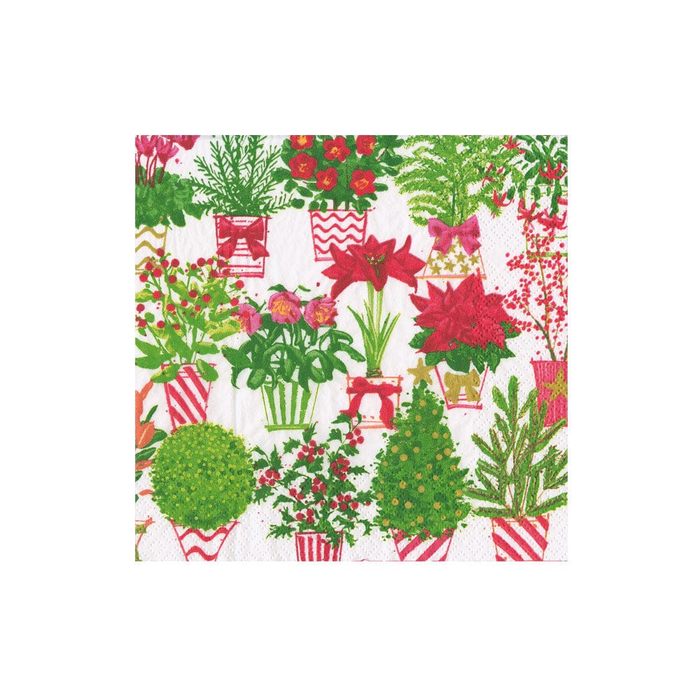 Christmas Flower Market Paper Cocktail Napkins