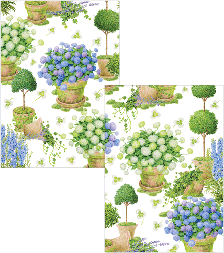 Potted Hydrangea Assorted Boxed Note Cards