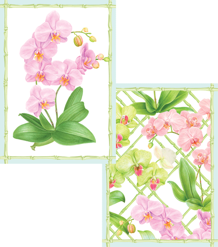 Orchid Conservatory Assorted Boxed Note Cards