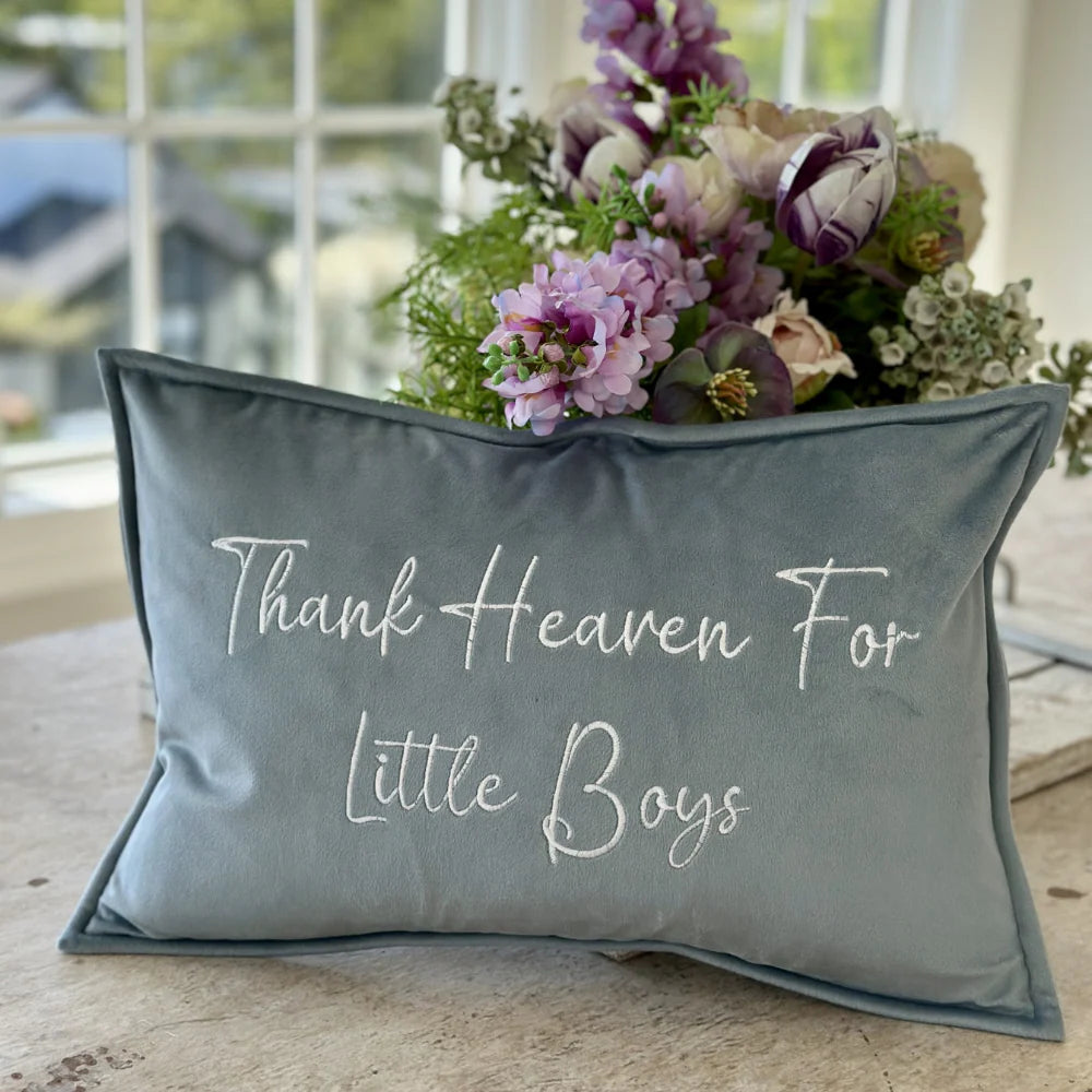 Velvet Thank Heaven for Little Boys Sham & Insert