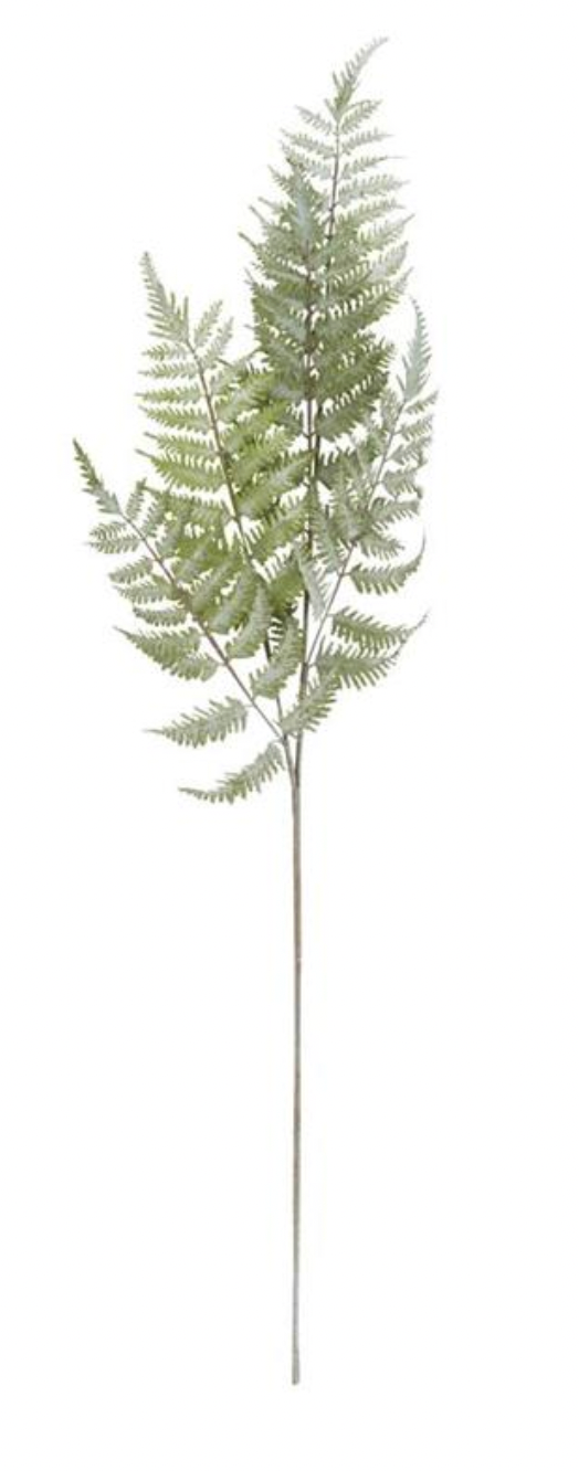 Ostrich Fern Stem 36''