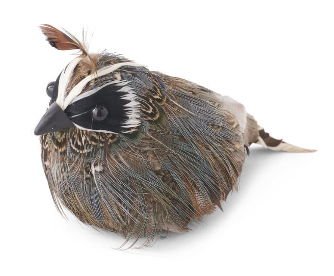 Feathered Quail