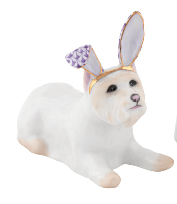 Westie with Bunny Ears