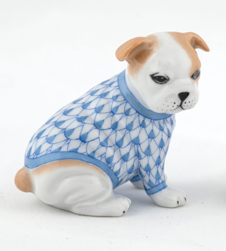 Bulldog Puppy with Sweater