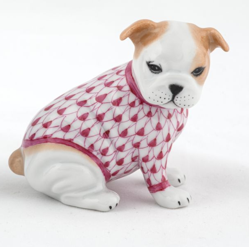 Bulldog Puppy with Sweater