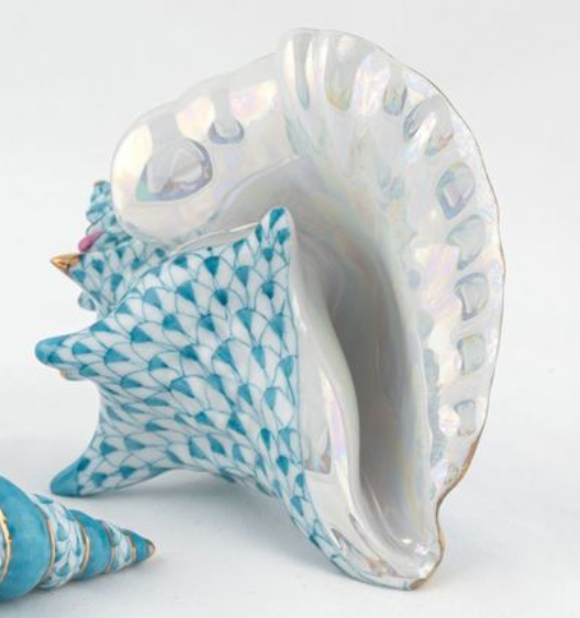 Medium Conch Shell