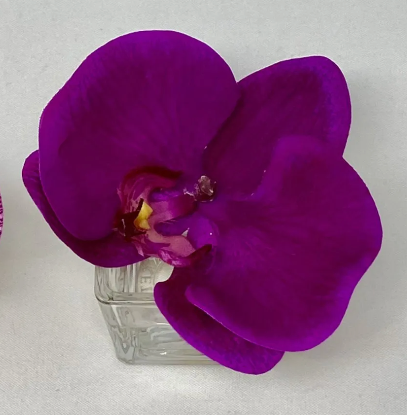 Orchid Silk Flower Bud Vase 2''