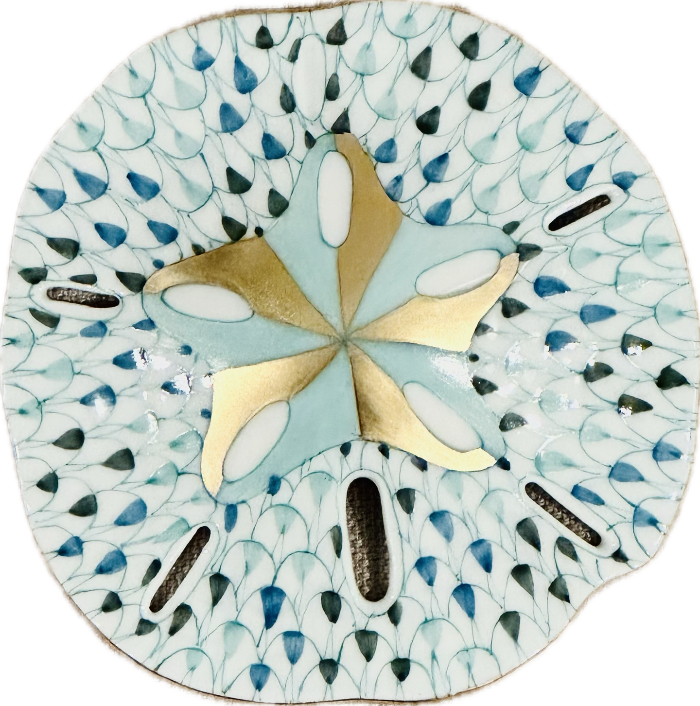 Special Import Sand Dollar