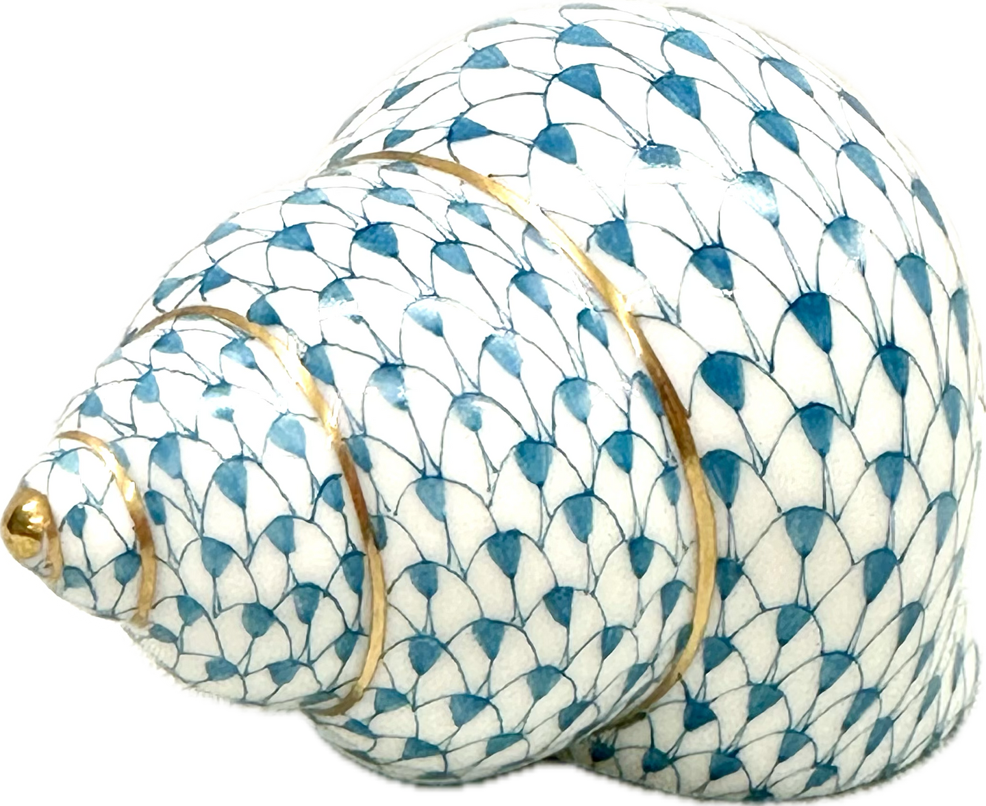 Periwinkle Shell