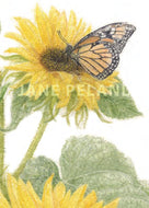 Sunflower Enclosure Cards (2 views)