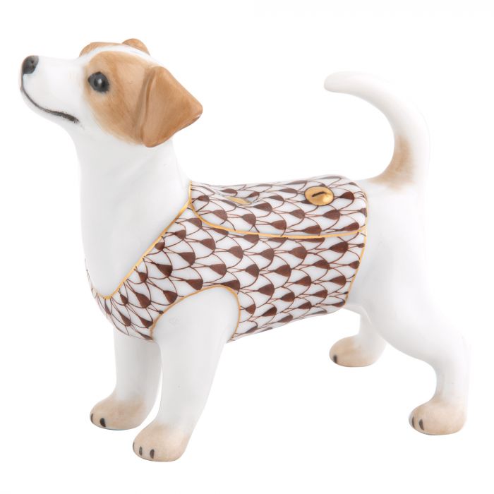 Jack Russell Terrier