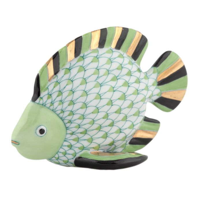 Fish