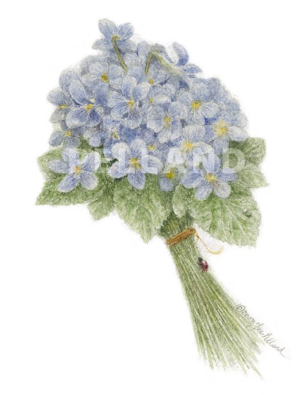 Forget Me Not Bouquet Small Note Cards