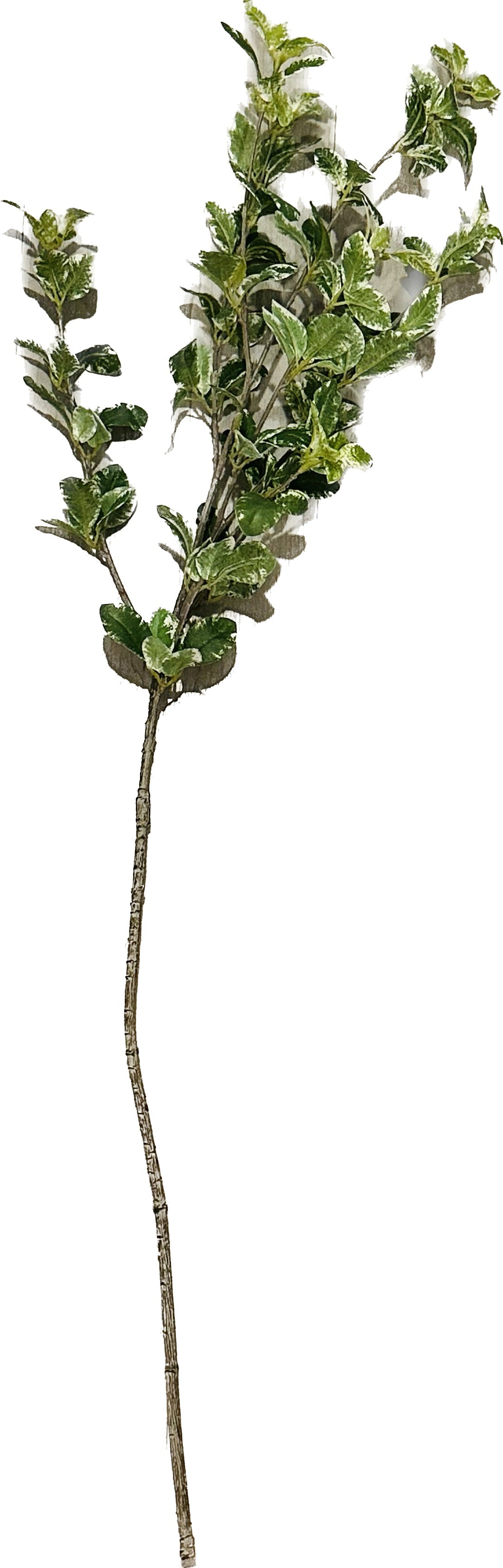 Greenery Stem