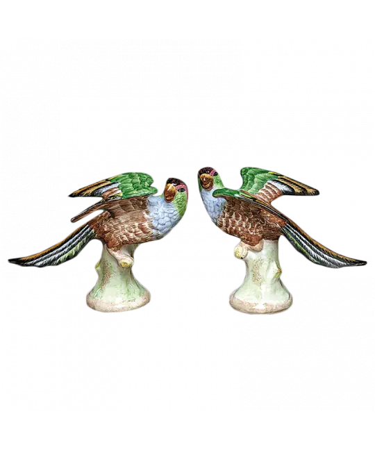 Pair of Parakeets