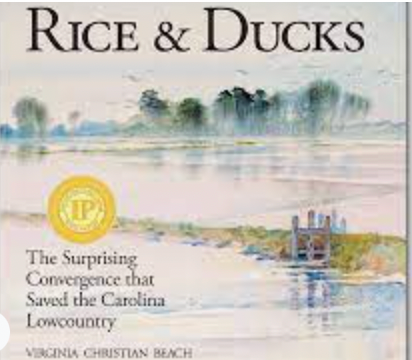 Rice & Ducks: The Surprising Convergence That Saved the Lowcountry