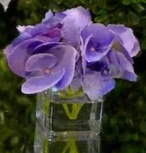 Load image into Gallery viewer, Hydrangea Silk Flower Bud Vase
