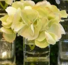 Load image into Gallery viewer, Hydrangea Silk Flower Bud Vase
